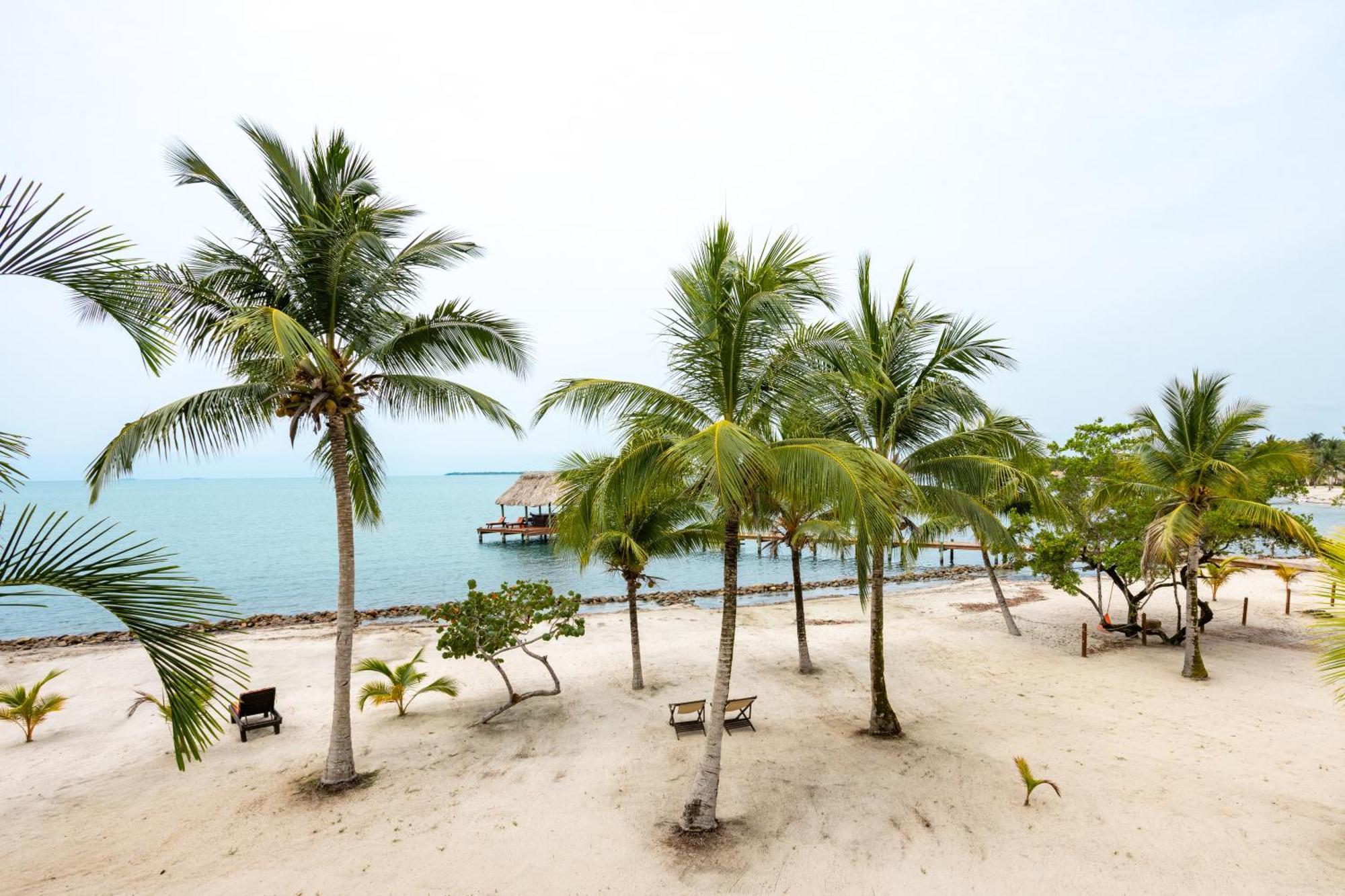 The Villas At Cocoplum Placencia Kültér fotó